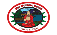 Buddhalato