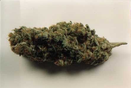 California Special