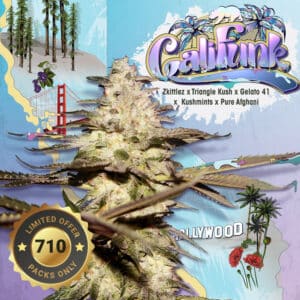 CaliFunk