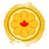 Canadian Sour