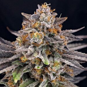 CandyGaz