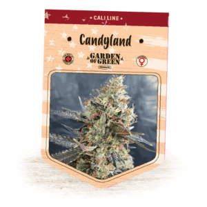 CandyLand (Garden of Green)