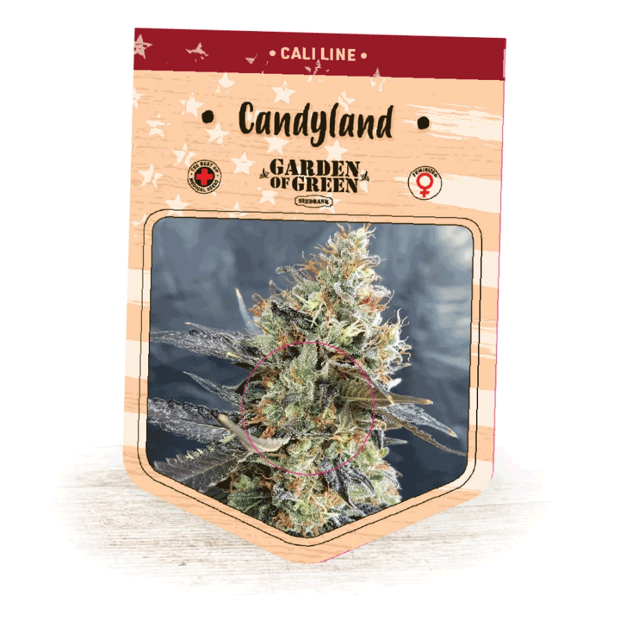 CandyLand (Garden of Green)
