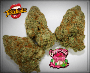 Cannacotta
