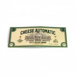 Cheese Automatic (City Seeds Bank)
