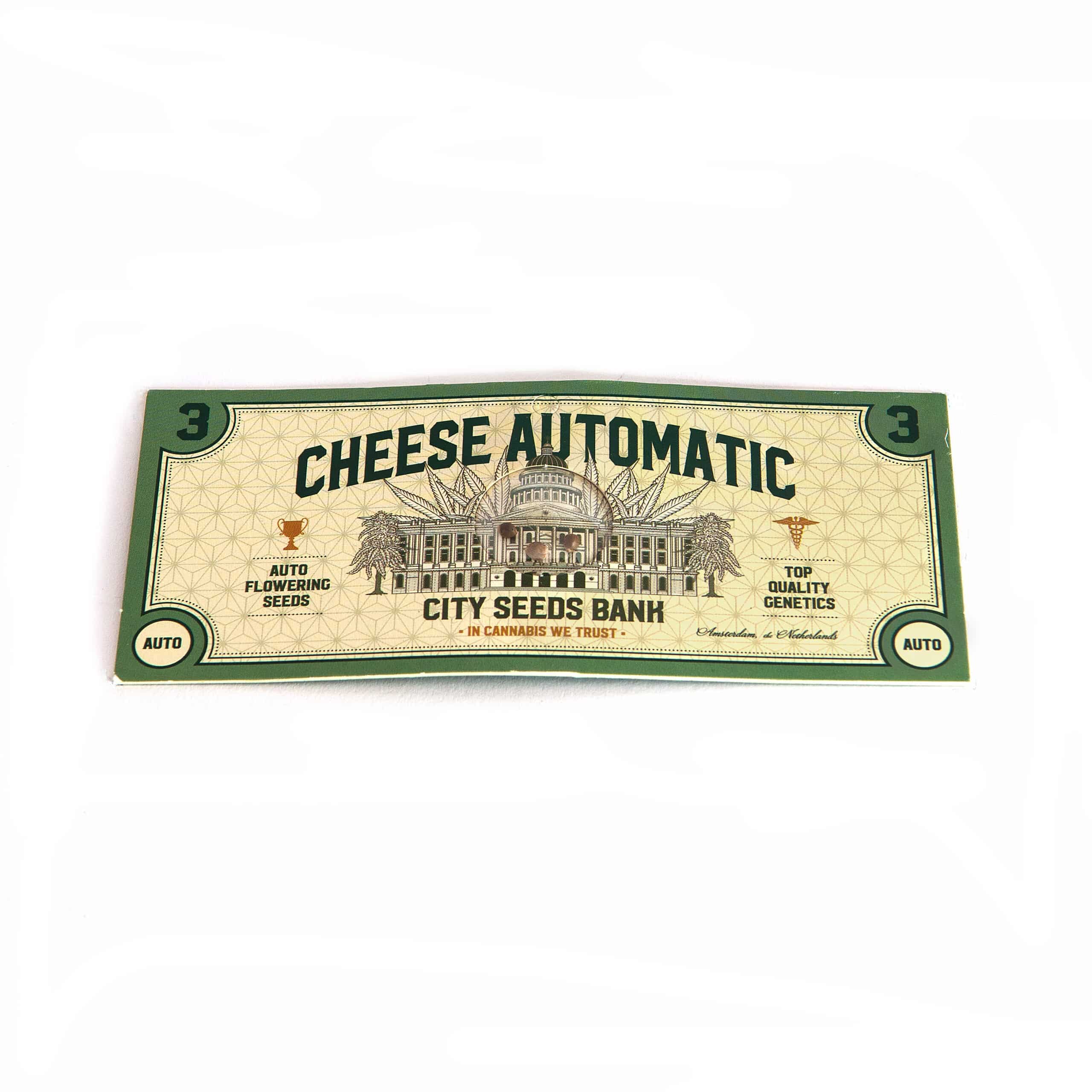 Cheese Automatic (City Seeds Bank)