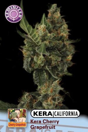 Cherry Grapefruit