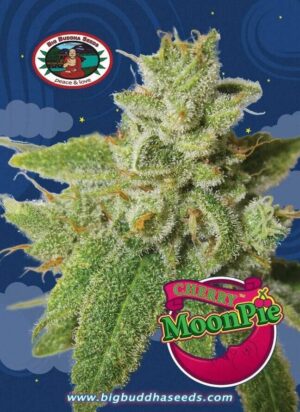 Cherry Moon Pie