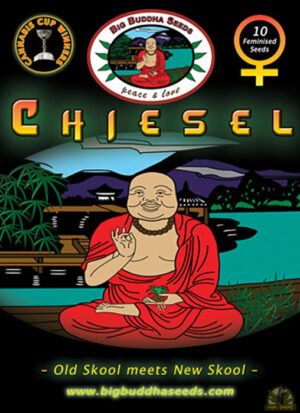 Chiesel