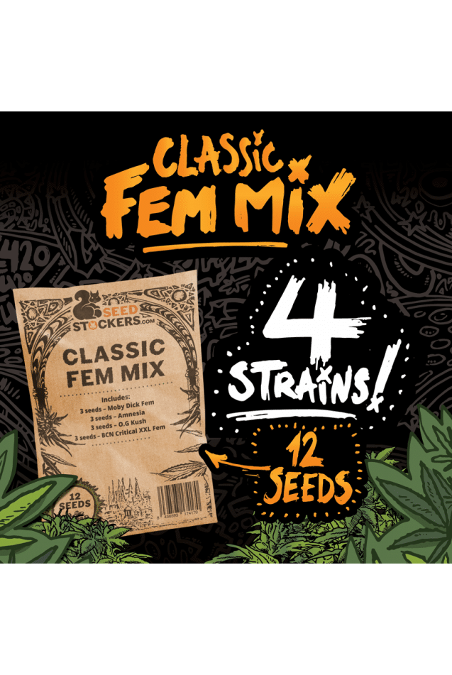 Classic Fem Mix