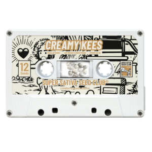 Creamy Kees Reg.