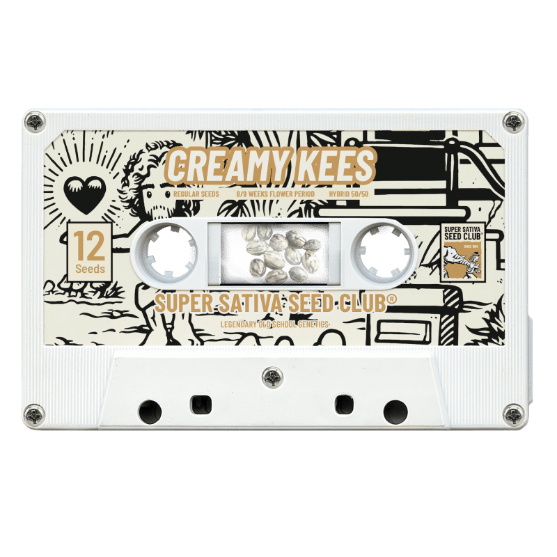 Creamy Kees Reg.