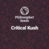 Critical Kush (Philosopher Seeds)