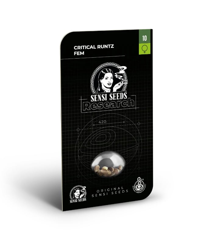 Critical Runtz