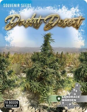 Dasht Desert reg.