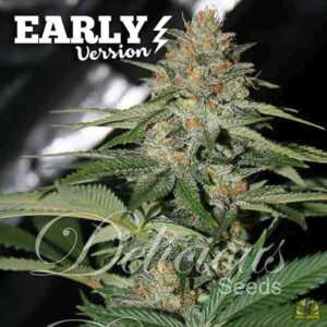 Delicious Candy Early Version