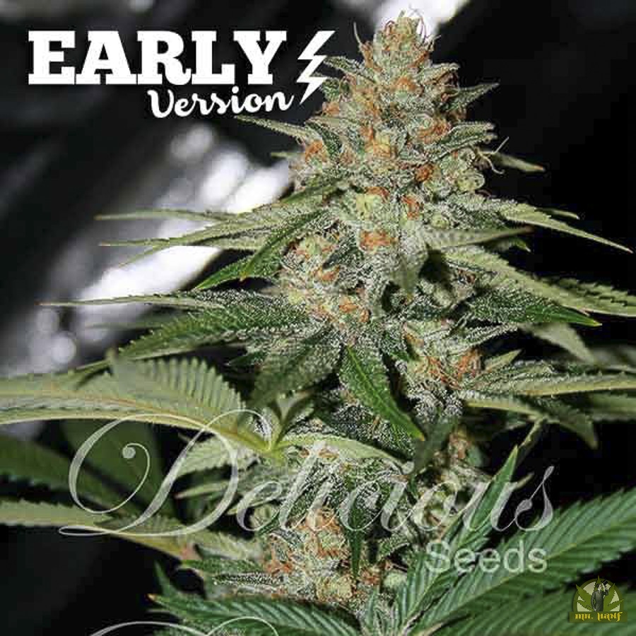 Delicious Candy Early Version