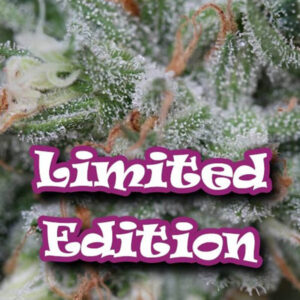 Diesel Cookie (Dark Cookie)