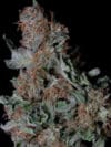 Don Blueberry Cookies