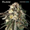 Fire DOG