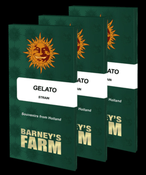 Gelato (Barney’s Farm)