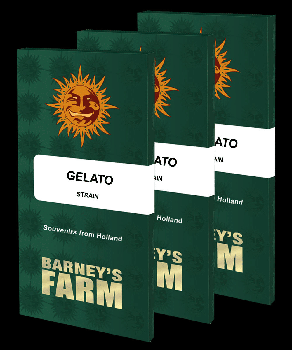 Gelato (Barney’s Farm)