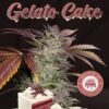 Gelato Cake (T.H. Seeds)