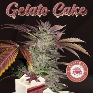 Gelato Cake (T.H. Seeds)