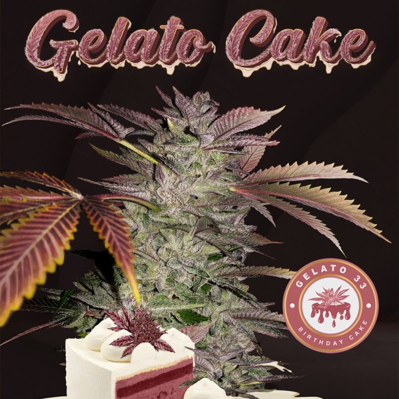 Gelato Cake (T.H. Seeds)