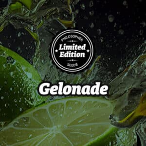 Gelonade