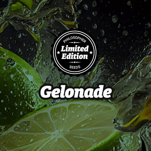 Gelonade