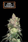 Girl Scout Cookies (Seedstockers)