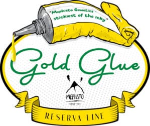 Gold Glue Auto
