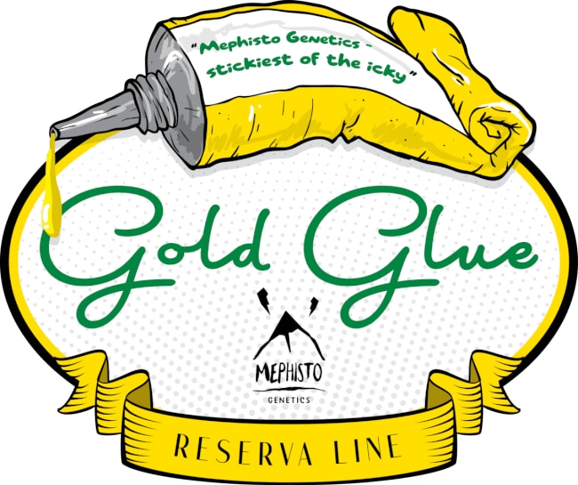 Gold Glue Auto