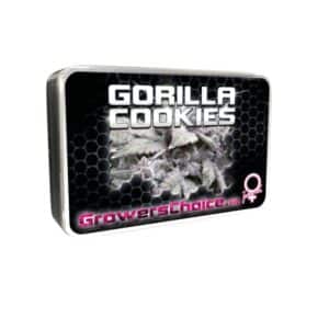 Gorilla Cookies (Growers Choice Seeds)
