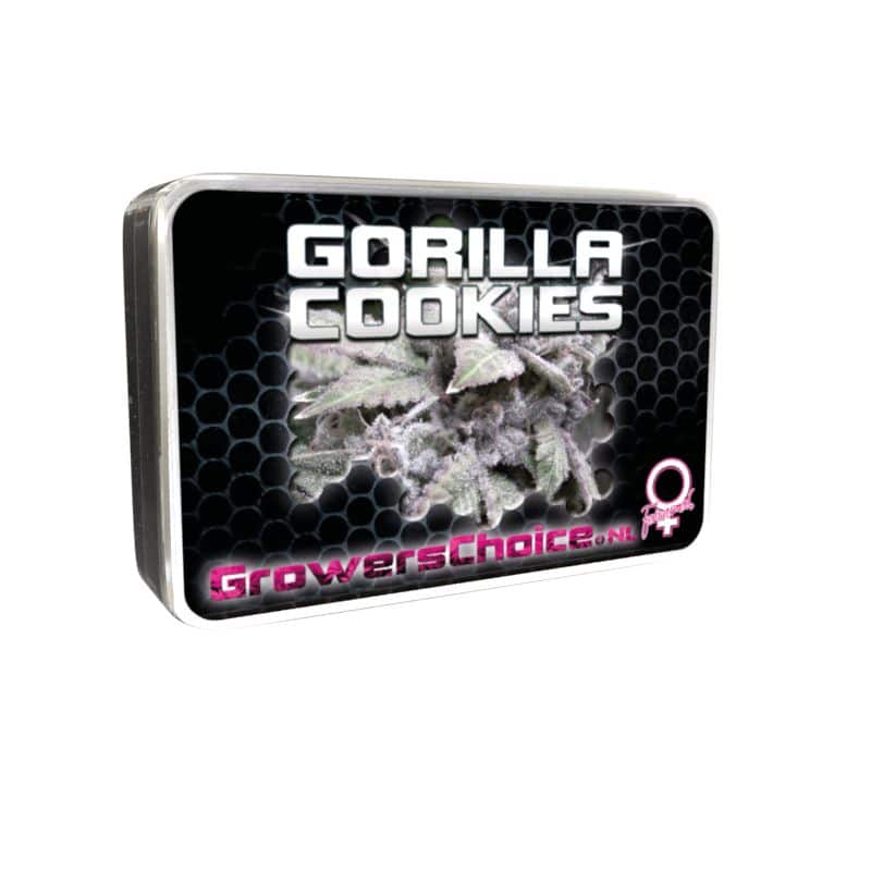 Gorilla Cookies (Growers Choice Seeds)