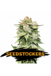 Gorilla Glue Auto (Seedstockers)