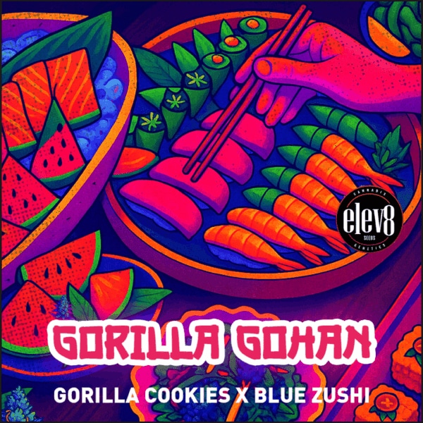 Gorilla Gohan