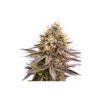 Gorilla Super Glue