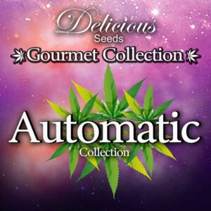 Gourmet Auto Mix 1
