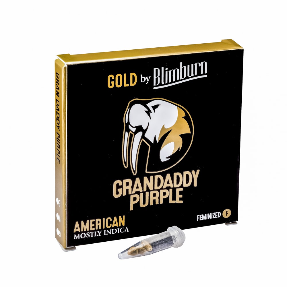 Grandaddy Purple (BlimBurn Seeds)