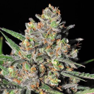 Green love potion