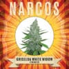 Griselda White Widow