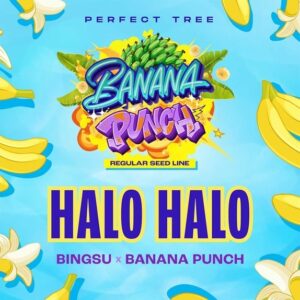 Halo Halo Reg.