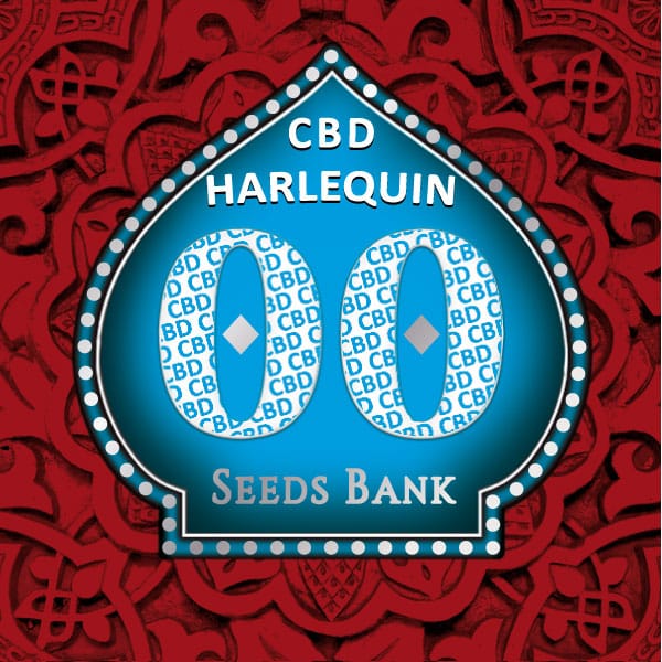 Harlequin CBD (00 Seeds)