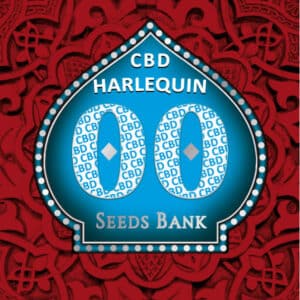 Harlequin CBD (00 Seeds)
