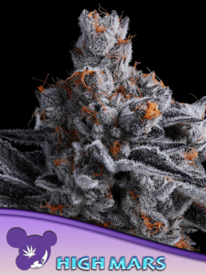High Mars