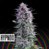 Hypno Zkittlez