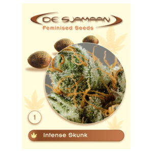 Intense Skunk