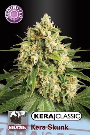 Kera Skunk